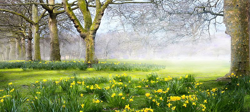 SPRING