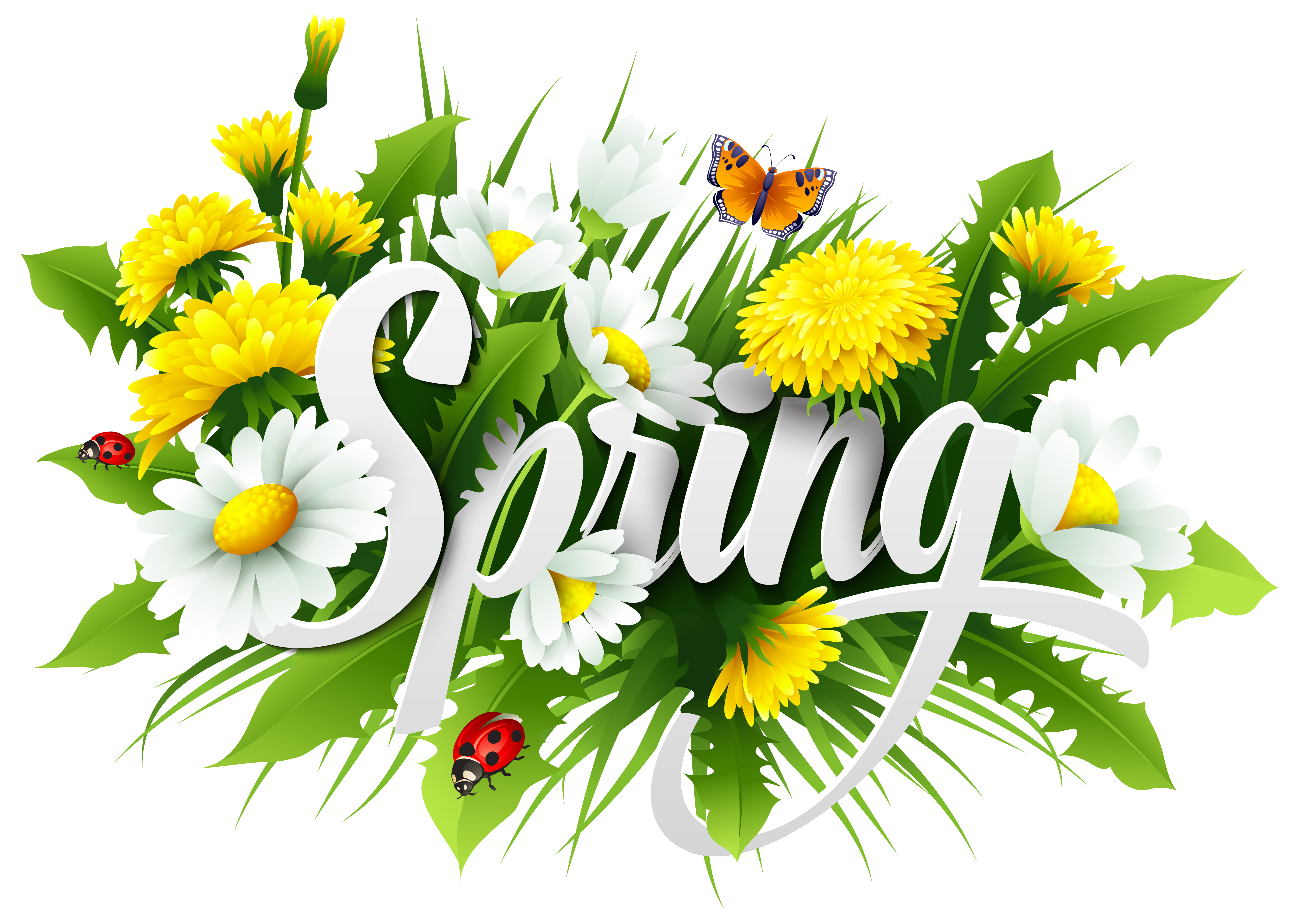SPRING
