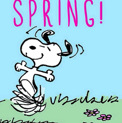 SPRING